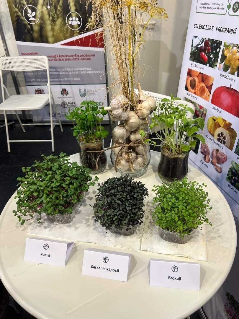 Izstādē "Riga Food 2026" apskatāmi dažādu dārzeņu mikrozaļumi