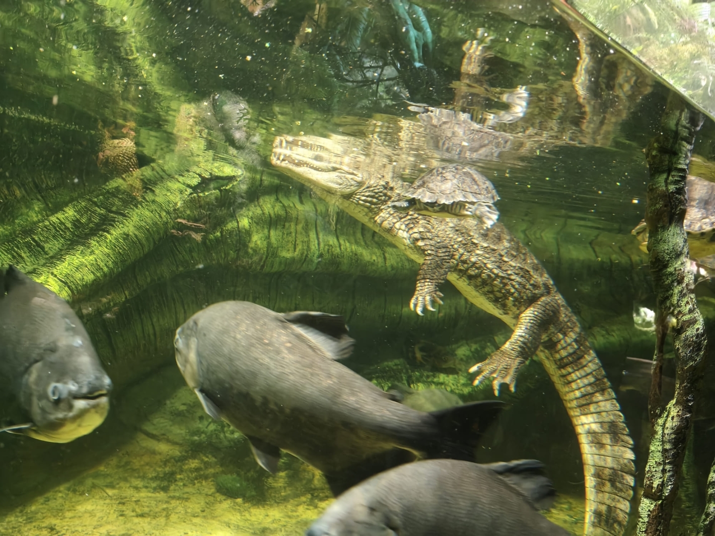 LD-41_grupas_vizite_latgales_zoodarza_1.jpg