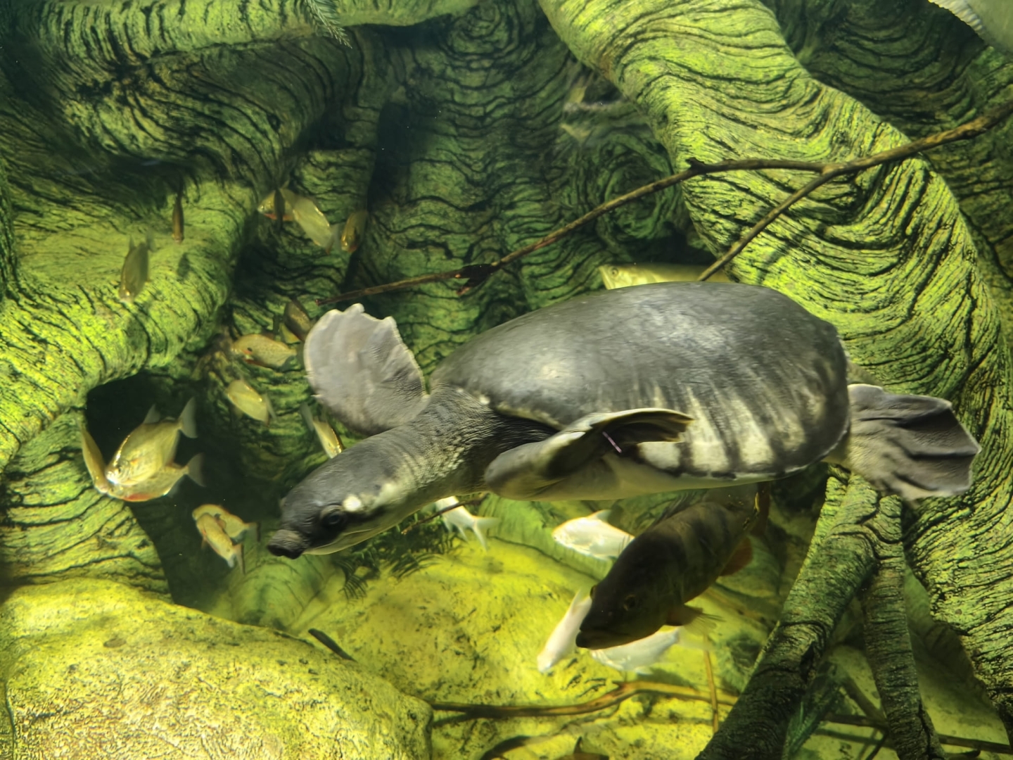 LD-41_grupas_vizite_latgales_zoodarza_6.jpg
