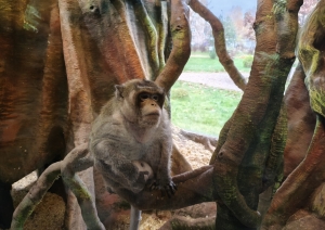 LD-41_grupas_vizite_latgales_zoodarza_2.jpg