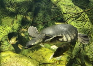 LD-41_grupas_vizite_latgales_zoodarza_6.jpg
